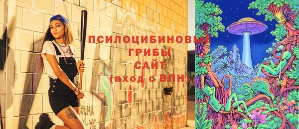 2c-b Бронницы