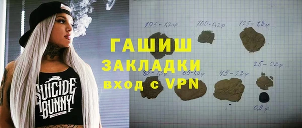 индика Богородицк