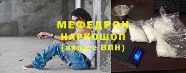 индика Богородицк