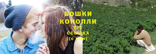 индика Богородицк