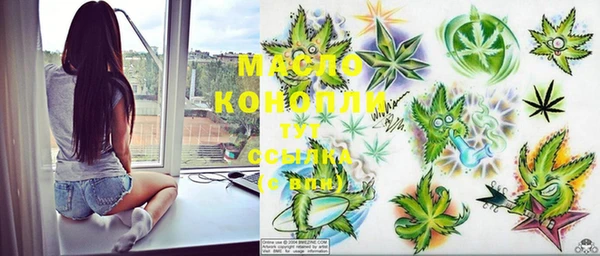 индика Богородицк