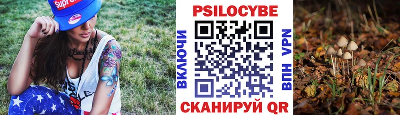 Галлюциногенные грибы мицелий купить наркотик МЕГА Междуреченск